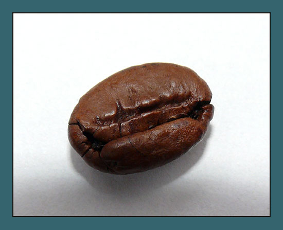 Kaffeebohne