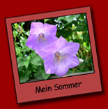 Mein Sommer