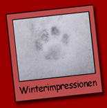 Winterimpressionen